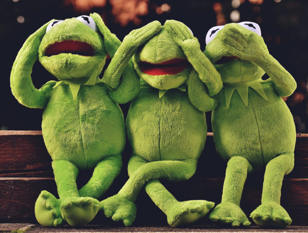 Drei Kermits sitzen nebeneinander