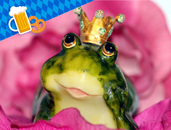 Frosch mit Krone vor pinkfarbenem Hintergrund