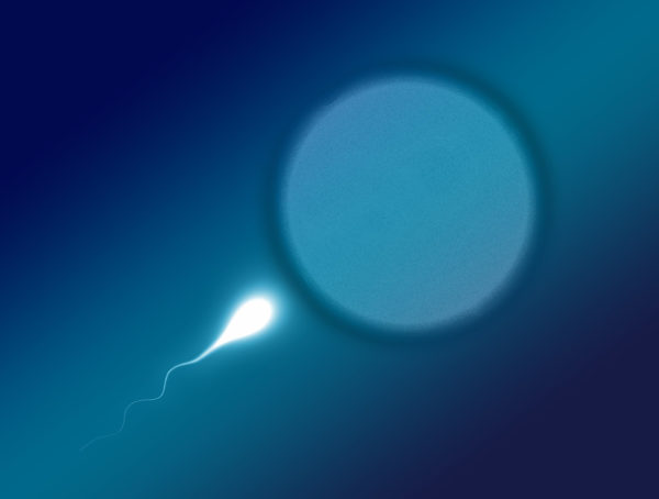 weißes Spermium, das auf eine Eizelle zusteuert auf einem blauen Hintergrund