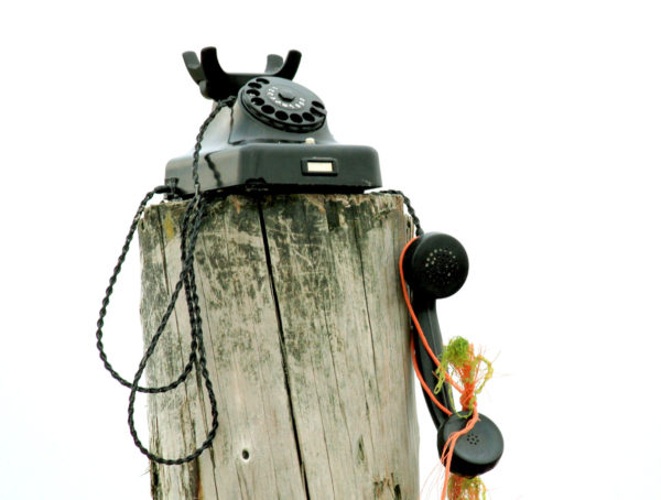 Schwarzes Telefon mit Wählscheibe auf einem Baumstamm, der Hörer hängt daneben