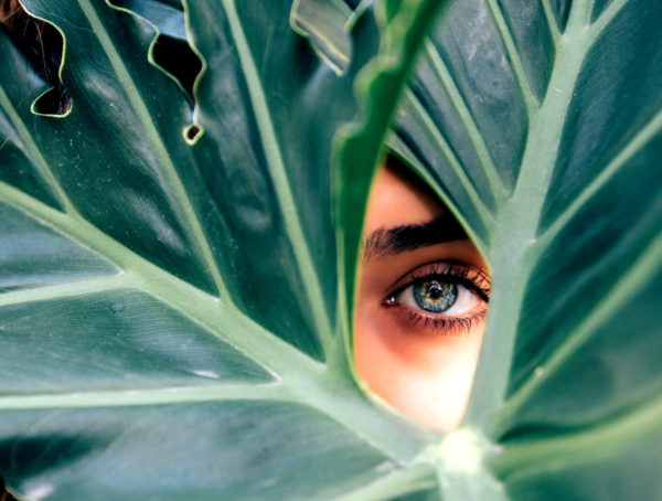 Auge, das durch ein grünes großes Blatt hindurchschaut