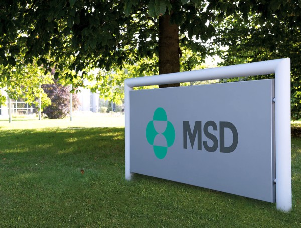 MSD-Firmenschild auf grünem Rasen