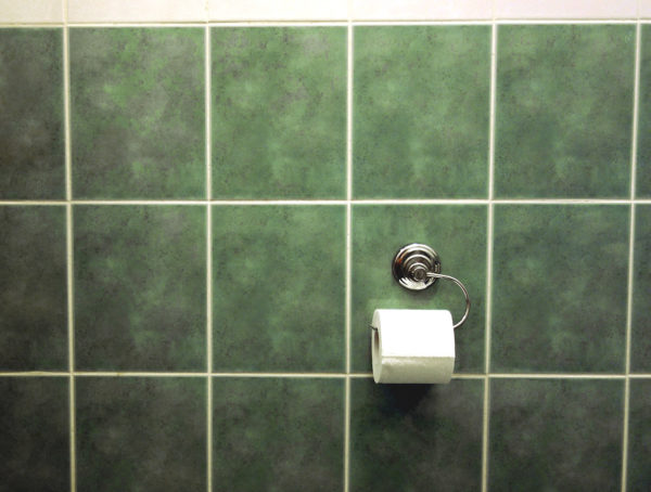 Rolle Toilettenpapier an einem silbernen Wandhalter auf grünen Fliesen