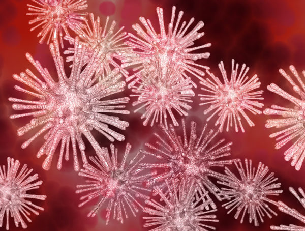 roter Virus