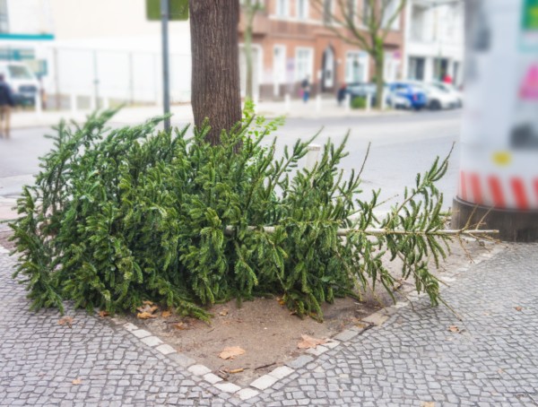 Weihnachtsbaum entsorgen