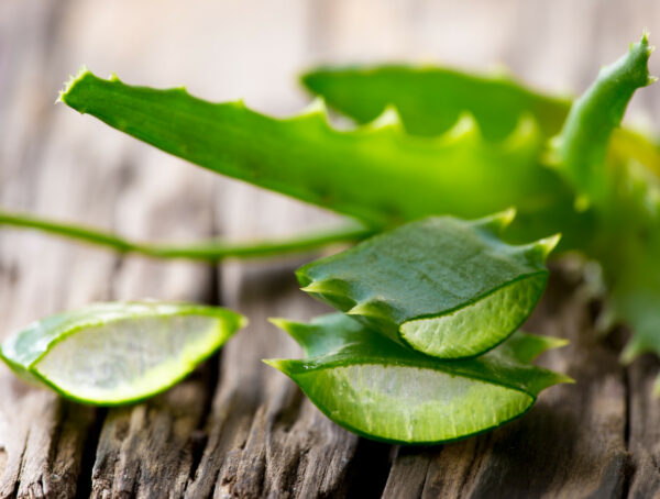 Symbolbild Öko-Test Aloe vera-Gel