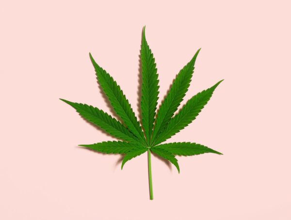 Symbolbild CBD Warentest