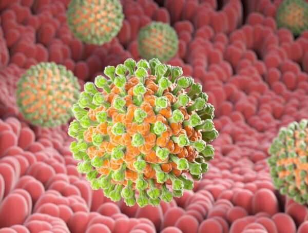 Symbolbild Rotavirus Impfung