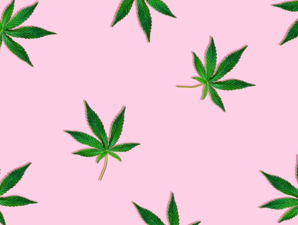Symbolbild Demecan Cannabis legalisieren