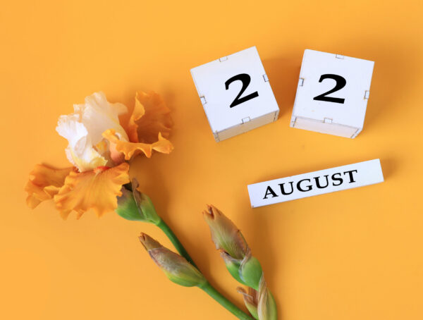 Symbolbild Zhongyuan Jie