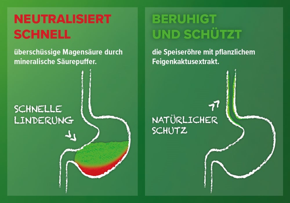 Wirkmechanismen Refluthin