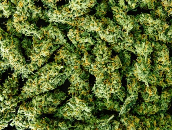 Symbolbild Medizinalcannabis Kinder BfArM Cannabis abrechnen Medizinalcannabis Cannabis Prüfpflicht