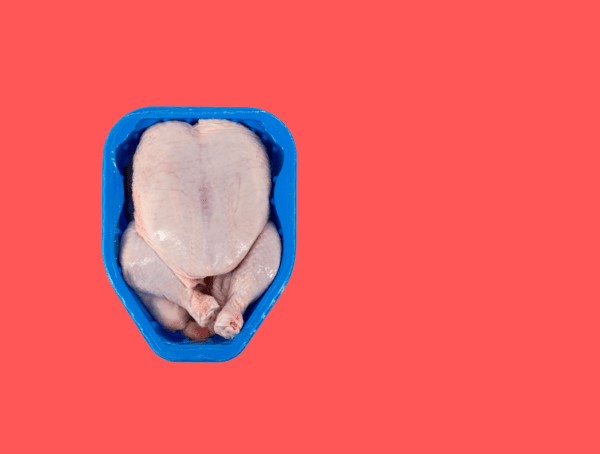 Symbolbild Sleepy Chicken