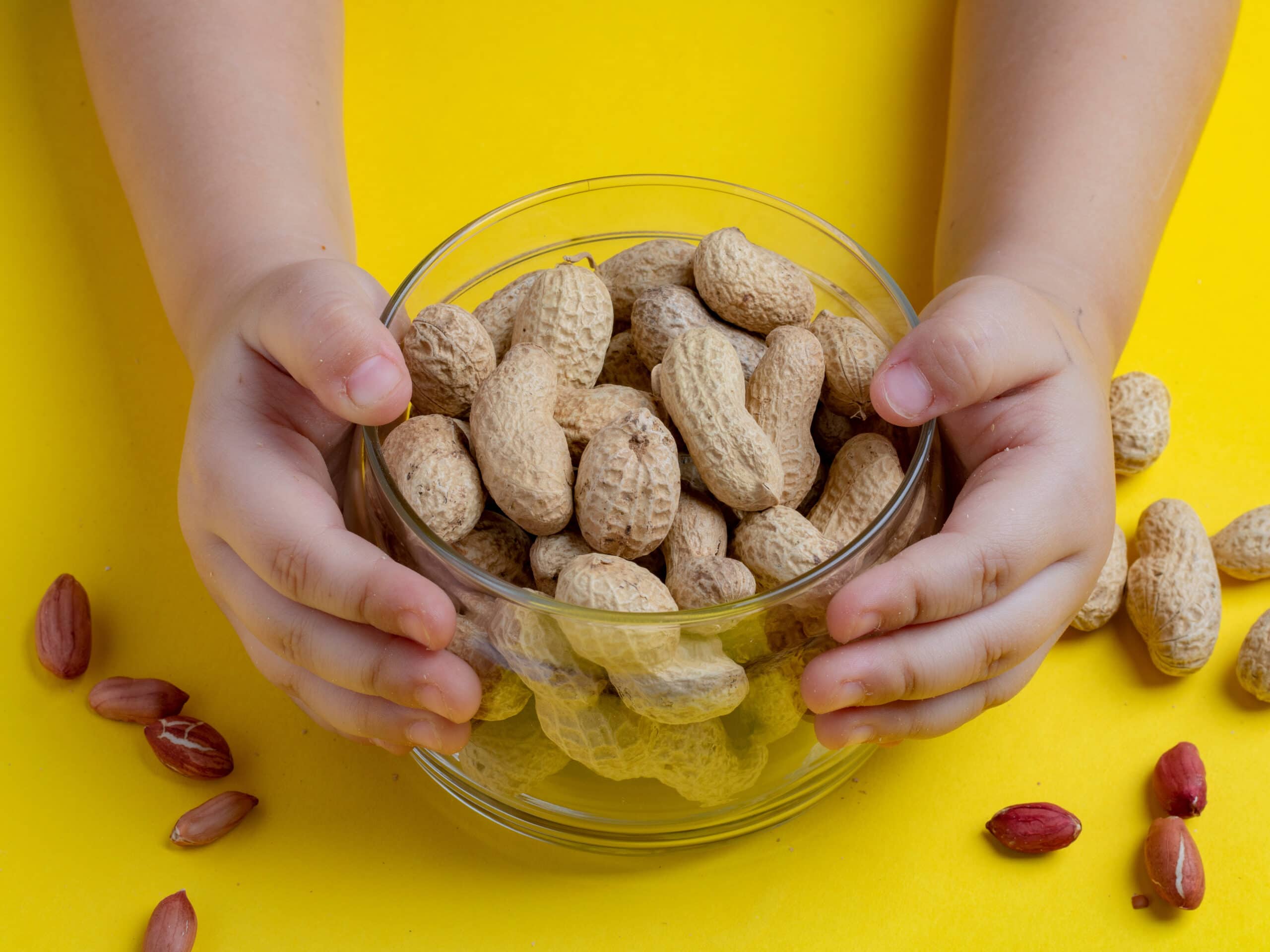 Allergia alle arachidi: le arachidi bollite sono più efficaci della Palforsia?