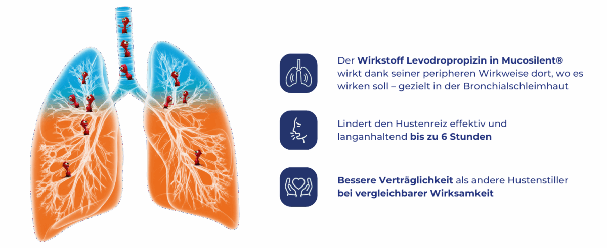Grafik zur Wirkweise von Mucosilent®. Gezeigt werden menschliche Lungen mit farblich hervorgehobenen Bereichen in Blau und Orange, die die Wirkung des Medikaments darstellen. Rechts befinden sich drei Icons mit begleitendem Text: „Der Wirkstoff Levodropropizin in Mucosilent® wirkt dank seiner peripheren Wirkweise dort, wo es wirken soll – gezielt in der Bronchialschleimhaut“, „Lindert den Hustenreiz effektiv und langanhaltend bis zu 6 Stunden“, und „Bessere Verträglichkeit als andere Hustenstiller bei vergleichbarer Wirksamkeit“.