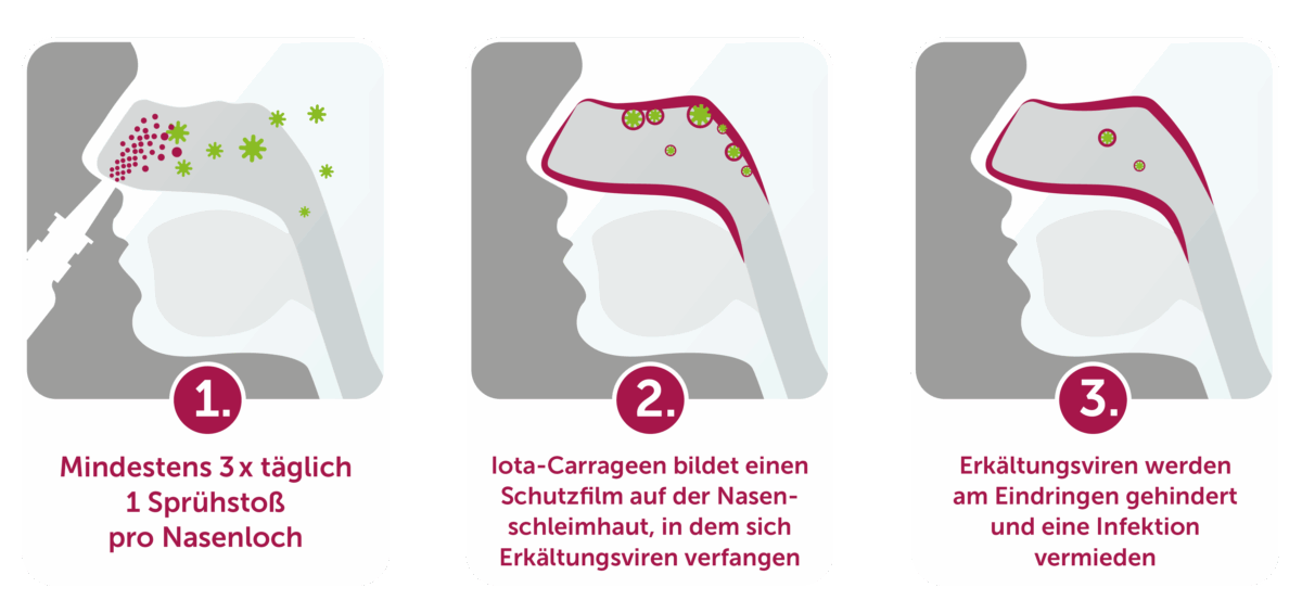 Dreiteilige Infografik zeigt, wie das algovir Nasenspray gegen Erkältungsviren wirkt: 1. Spray wird in die Nase gesprüht, 2. ein Schutzfilm fängt Viren ab, 3. Viren werden am Eindringen gehindert und eine Infektion wird vermieden.