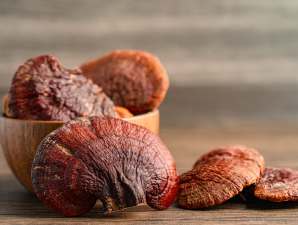 Mehrere Reishi-Pilze liegend sowie in einer Schüssel