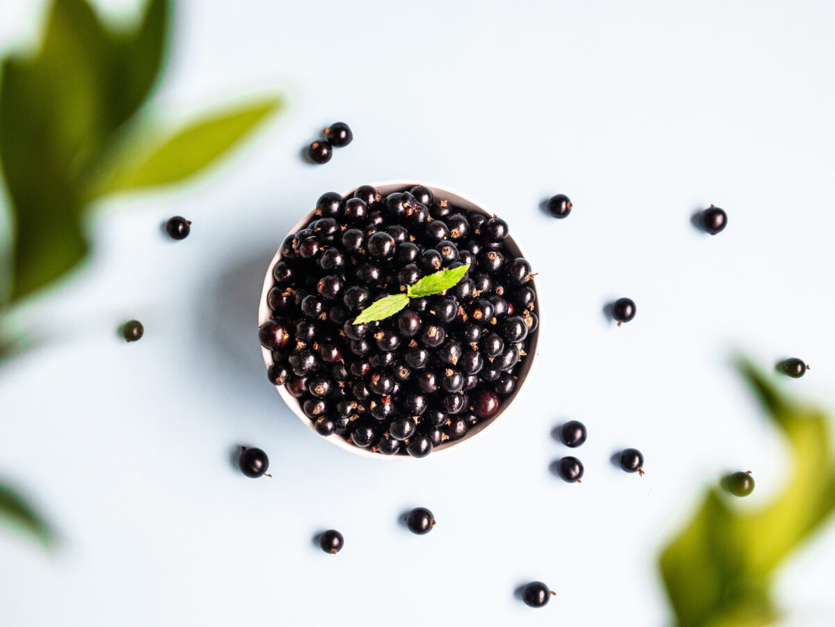 Senken schwarze Johannisbeeren den Blutzucker?